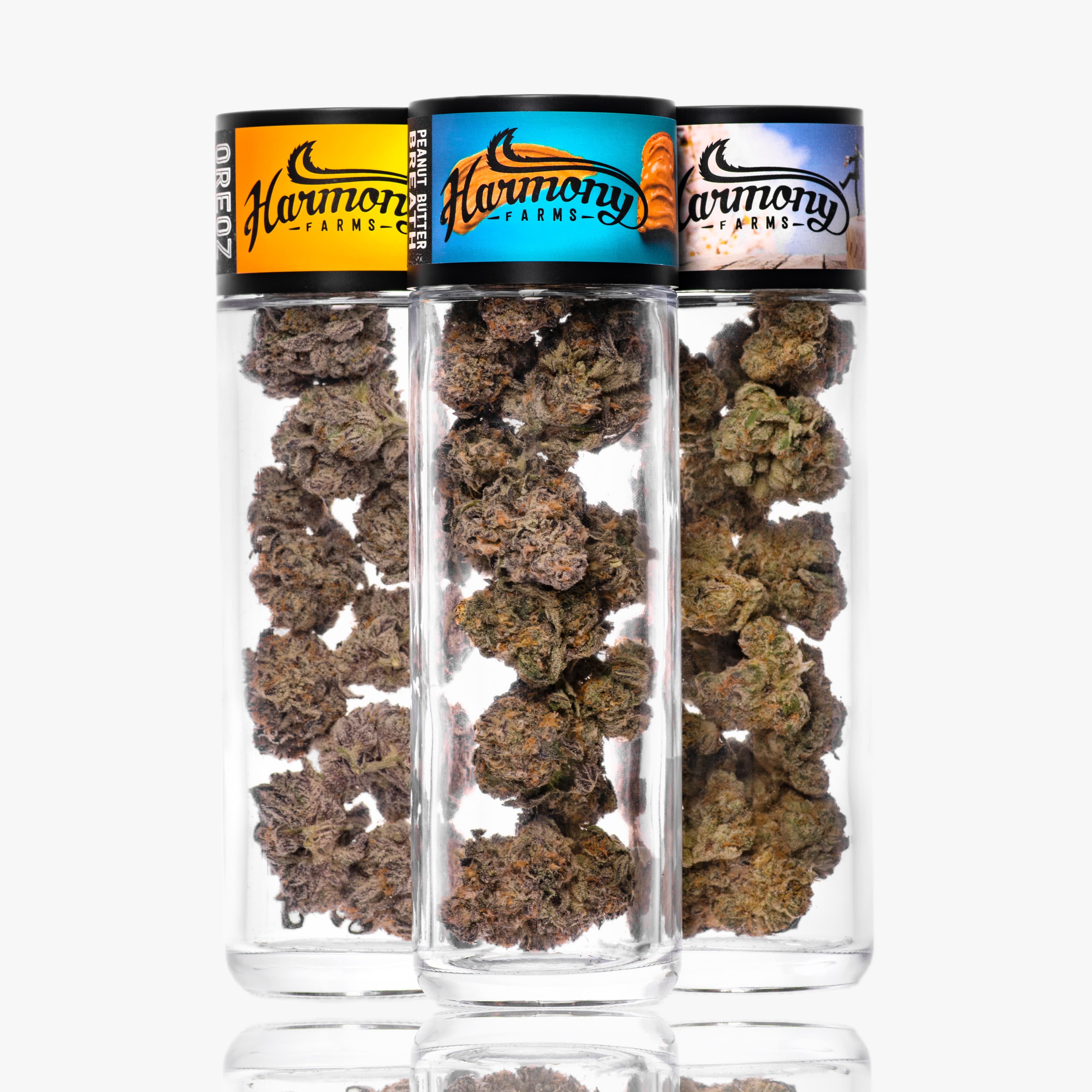 Black Grapez · Flower · 14g